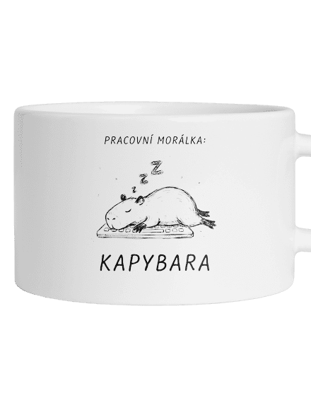 Pracovní morálka