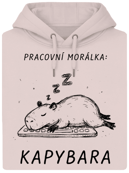 Pracovní morálka