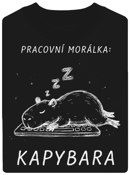 Pracovní morálka