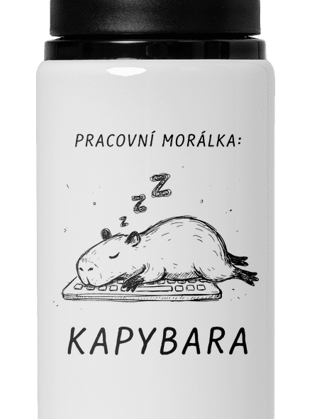 Pracovní morálka