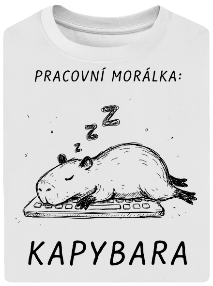 Pracovní morálka