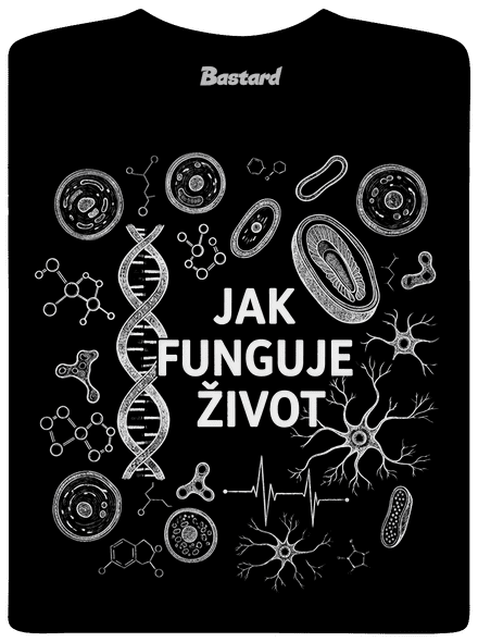 Jak funguje život