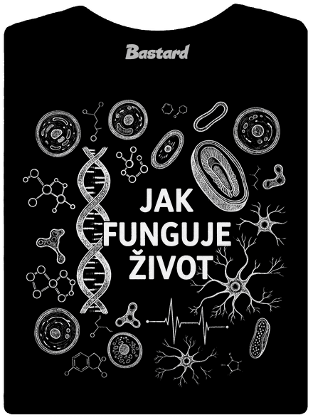 Jak funguje život