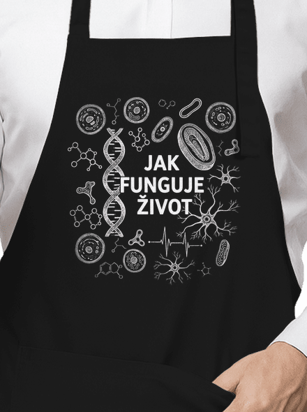 Jak funguje život