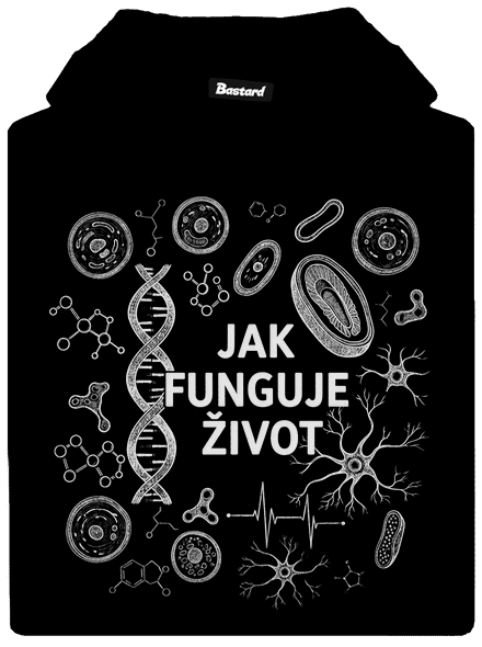 Jak funguje život