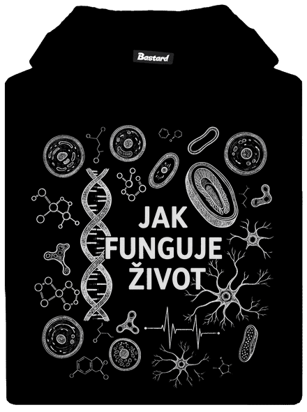 Jak funguje život