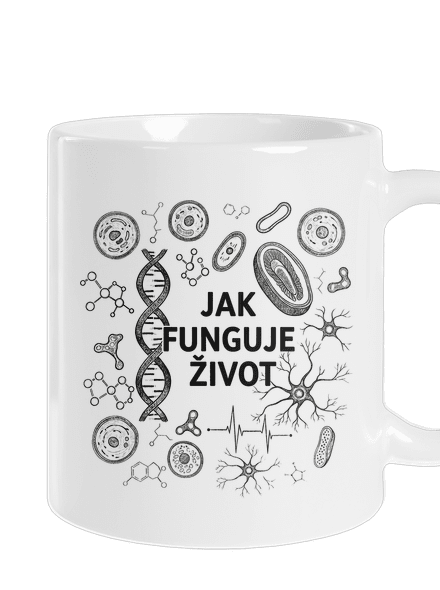 Jak funguje život