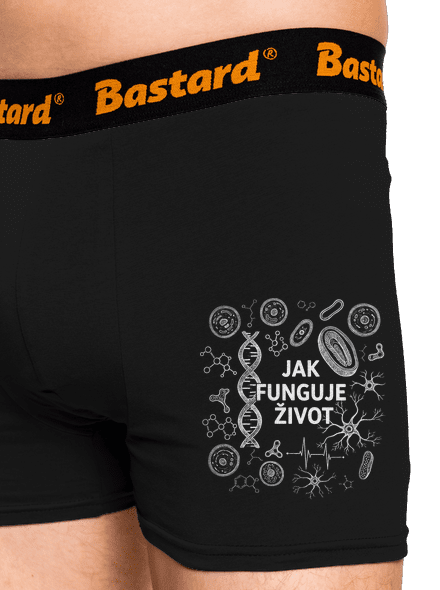 Jak funguje život
