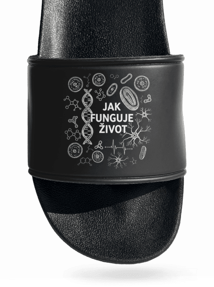 Jak funguje život