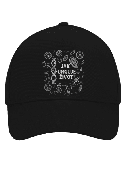 Jak funguje život