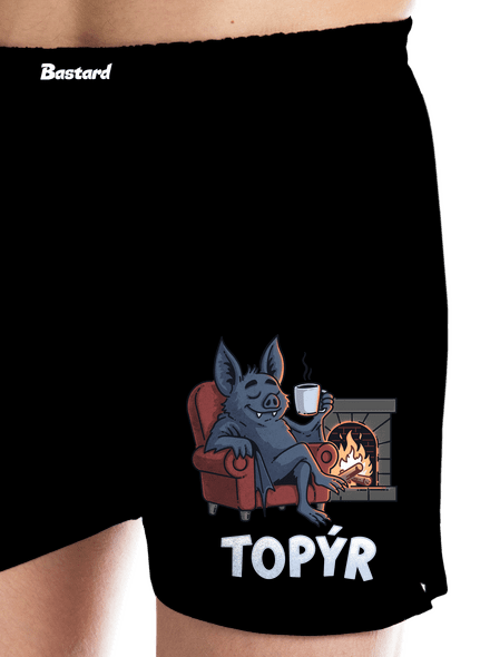 Topýr