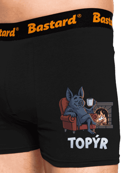 Topýr