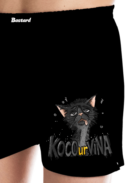 Kocourvina