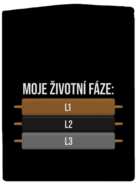 Moje životní fáze