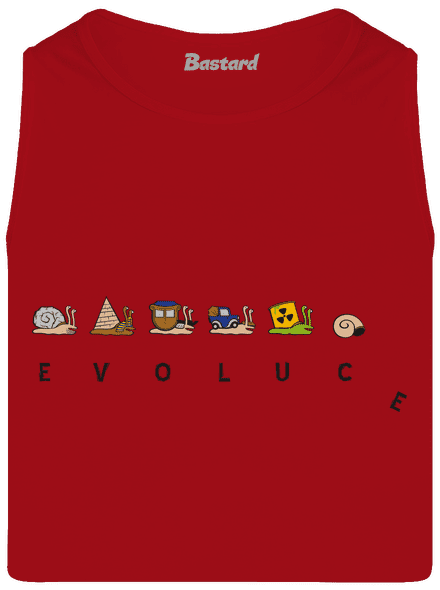 Evoluce