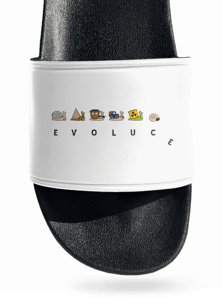 Evoluce
