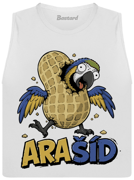 Ara-Šíd