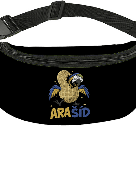 Ara-Šíd