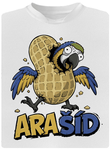Ara-Šíd