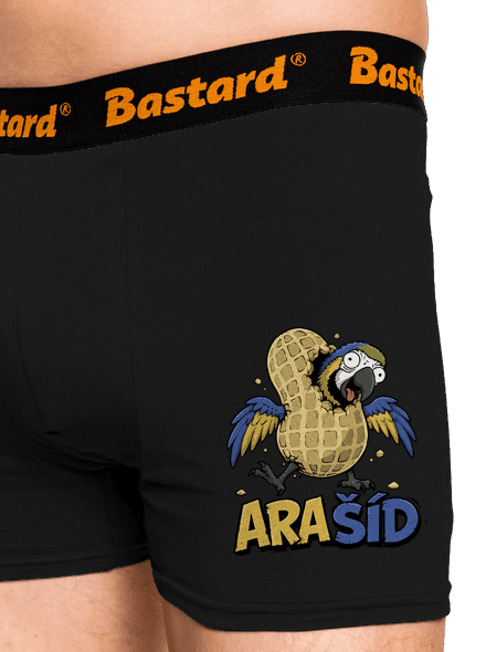 Ara-Šíd