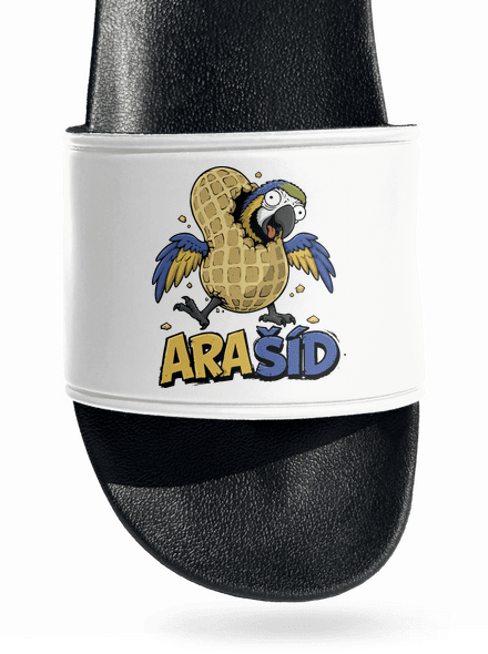 Ara-Šíd