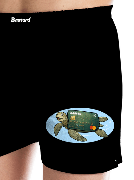 Kreditní kareta