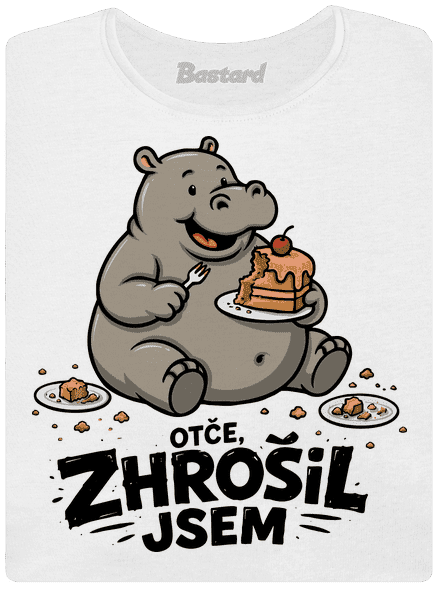 Zhrošil jsem