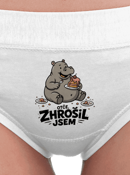 Zhrošil jsem