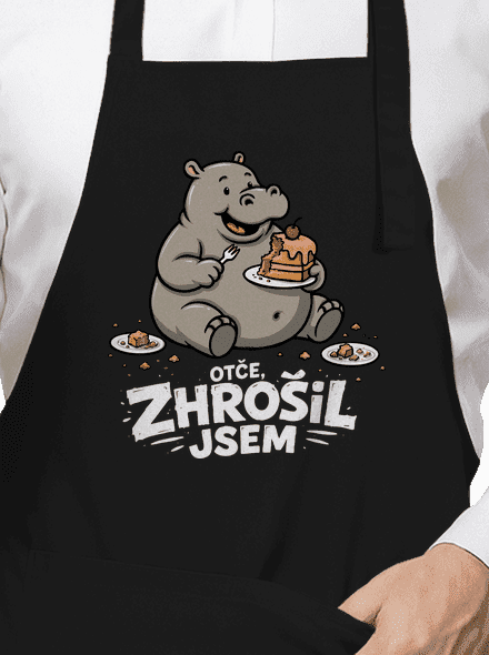 Zhrošil jsem