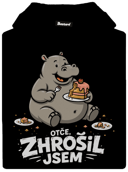 Zhrošil jsem