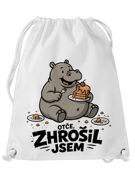 Zhrošil jsem