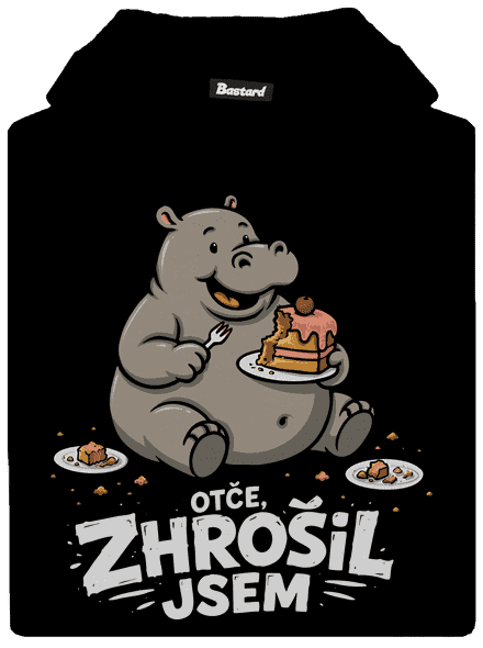 Zhrošil jsem