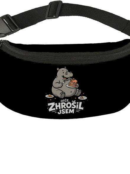Zhrošil jsem