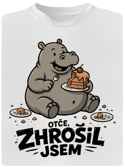 Zhrošil jsem