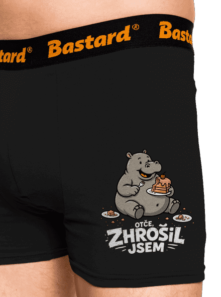 Zhrošil jsem