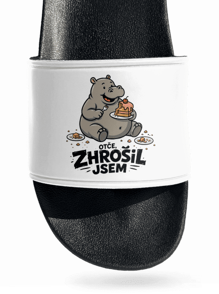 Zhrošil jsem