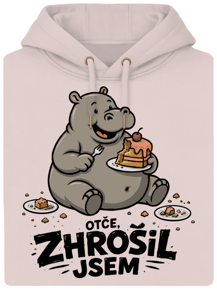 Zhrošil jsem