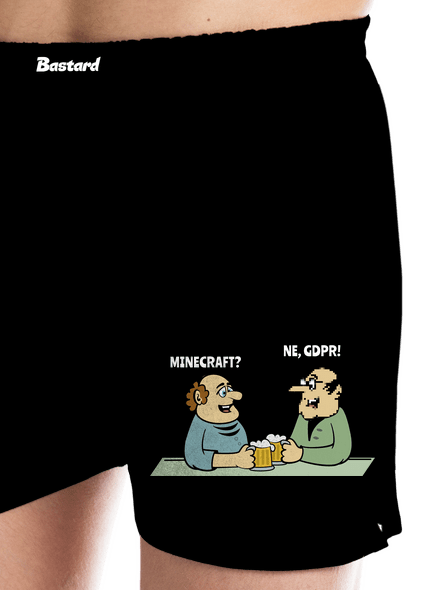 Minecraft a GDPR