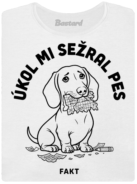 Úkol sežral pes