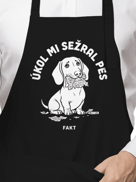 Úkol sežral pes