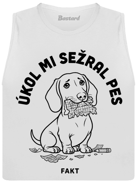 Úkol sežral pes