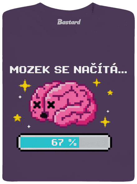 Mozek se načítá