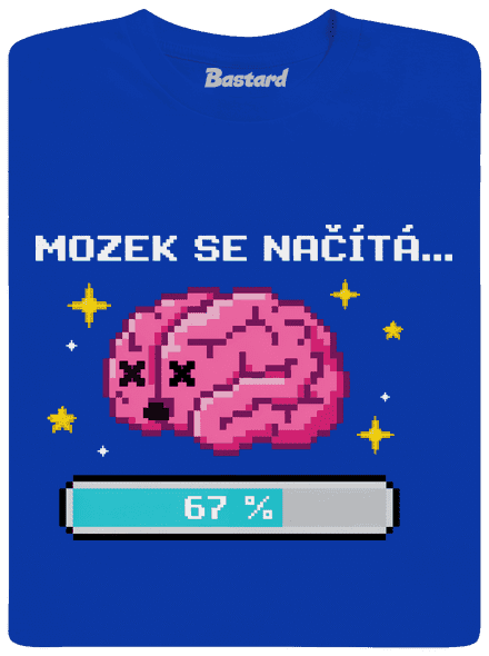 Mozek se načítá