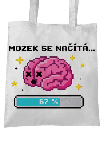 Mozek se načítá