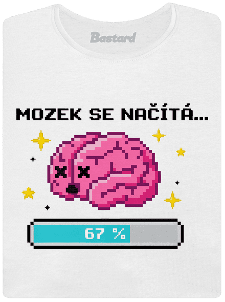 Mozek se načítá