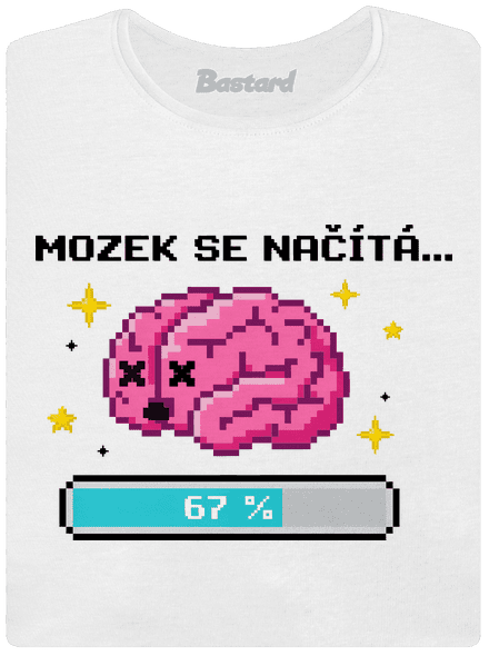 Mozek se načítá