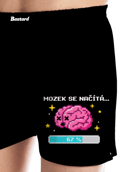 Mozek se načítá
