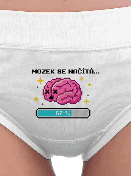 Mozek se načítá