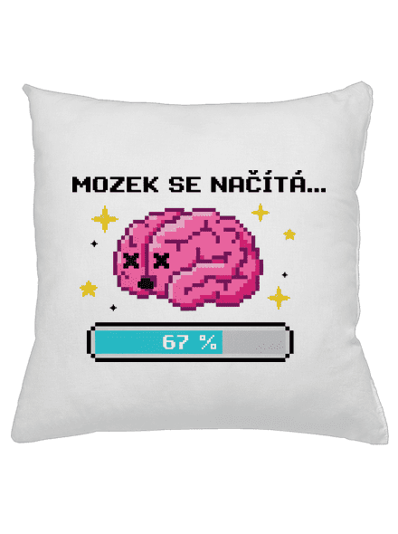 Mozek se načítá