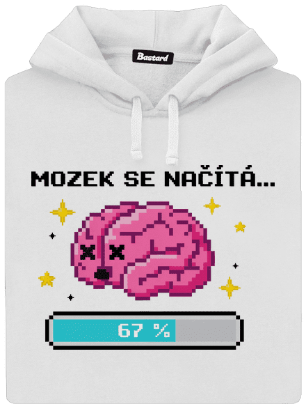 Mozek se načítá